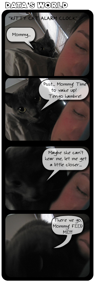 Data's World 5: Kitty Cat Alarm Clock