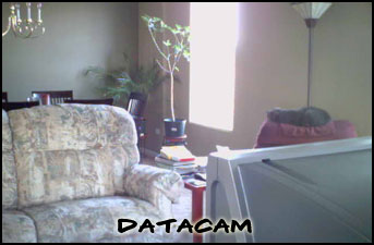 Data Cam's Debut!!!