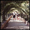 El Generalife Garden at La Alhambra in Granada