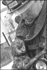 <image:Firefighter saves cat;