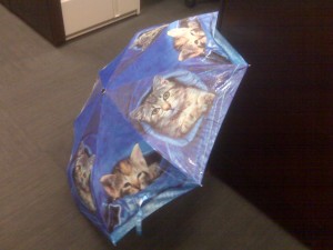 Kitty Umbrella