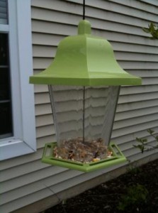 Empty Bird Feeder