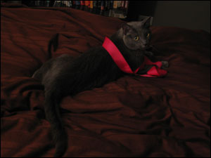 Playing with a ribbon from Gina