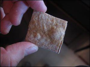 Homemade Wheat Thins