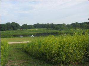 image:Nippersink Forest Preserve