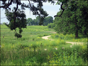 image:Nippersink Forest Preserve