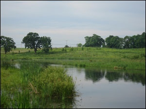 image:Nippersink Forest Preserve