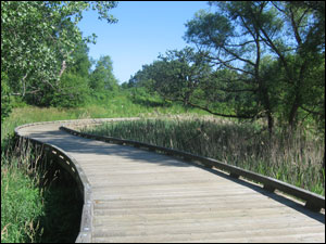 image:Nippersink Forest Preserve