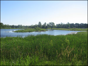 image:Nippersink Forest Preserve