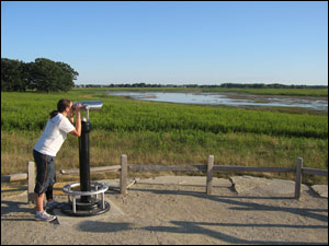 Rollins Savanna Forest Preserve