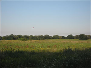 Rollins Savanna Forest Preserve