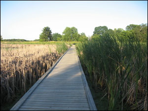 Rollins Savanna Forest Preserve