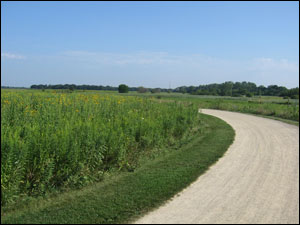 Trail at the Rollins Savanna Forest Preserve