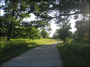 Rollins Savanna Forest Preserve